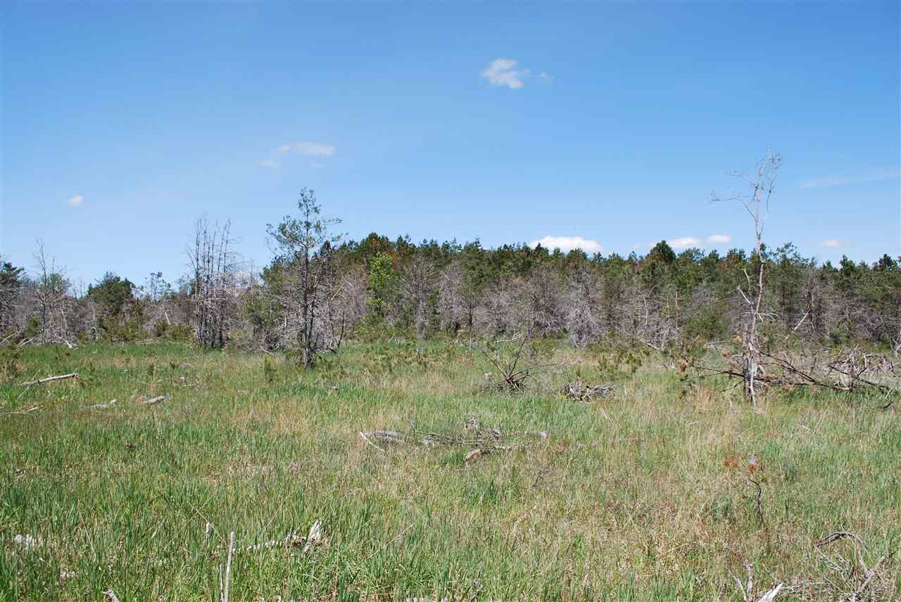 Parcel #2-5 Southeast Parcel Road Kalkaska, MI 49646 - Photo 3 of 10