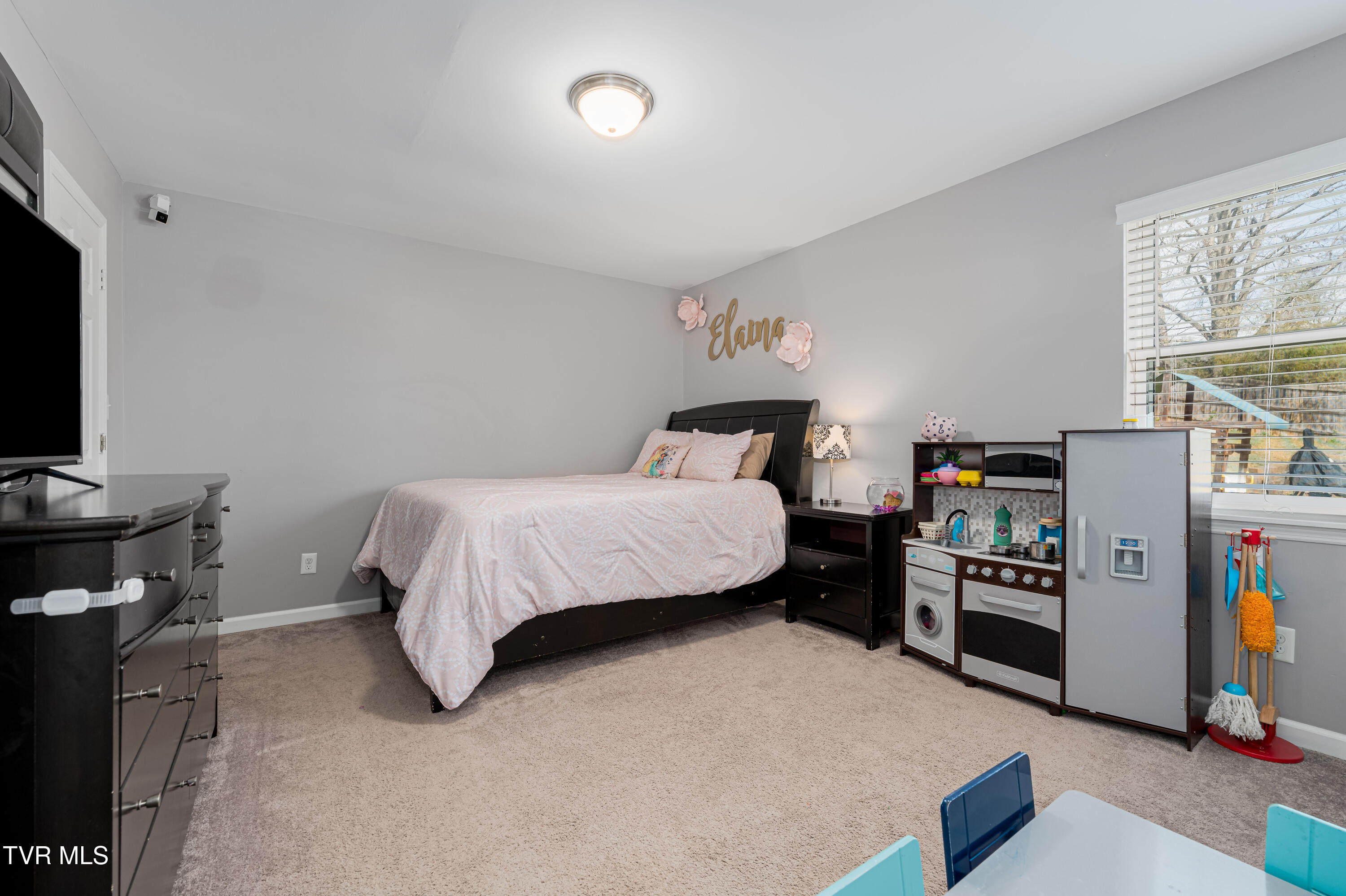 283 Ridgeview Drive Gray, TN 37615 - Photo 36 of 46 283 Ridgeview Dr (35 of 46)
