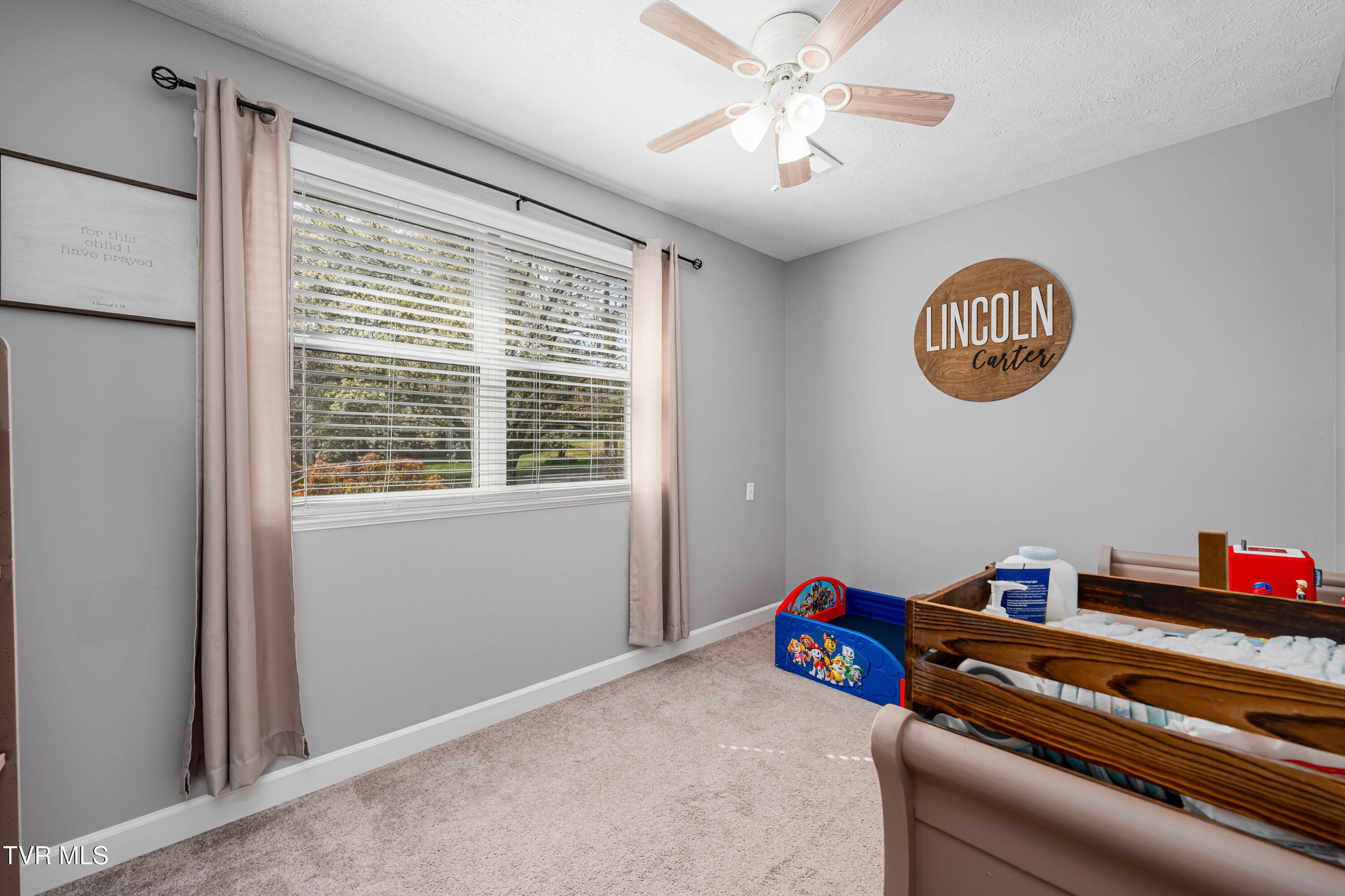 283 Ridgeview Drive Gray, TN 37615 - Photo 41 of 46 283 Ridgeview Dr (40 of 46)