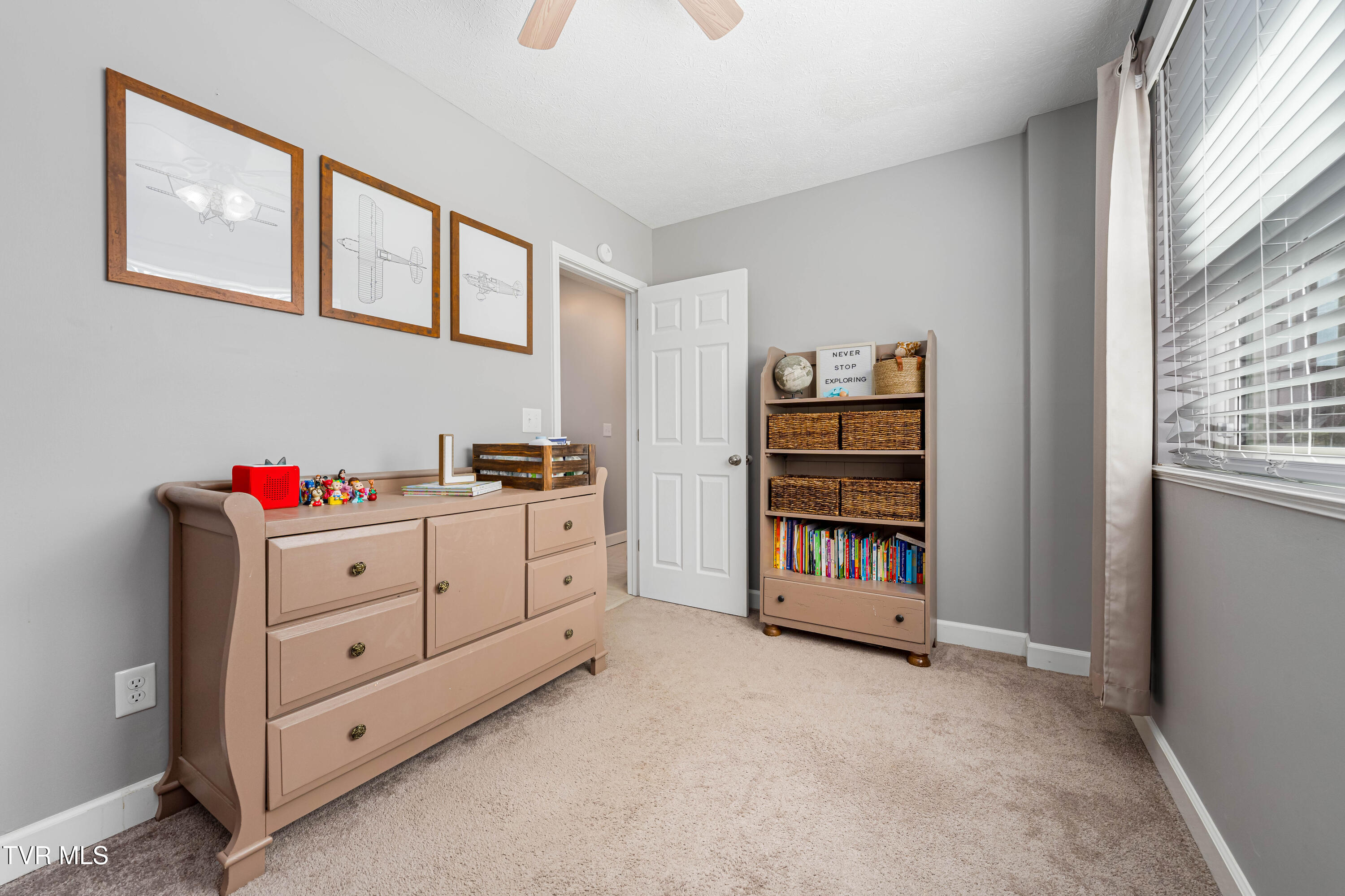 283 Ridgeview Drive Gray, TN 37615 - Photo 42 of 46 283 Ridgeview Dr (41 of 46)