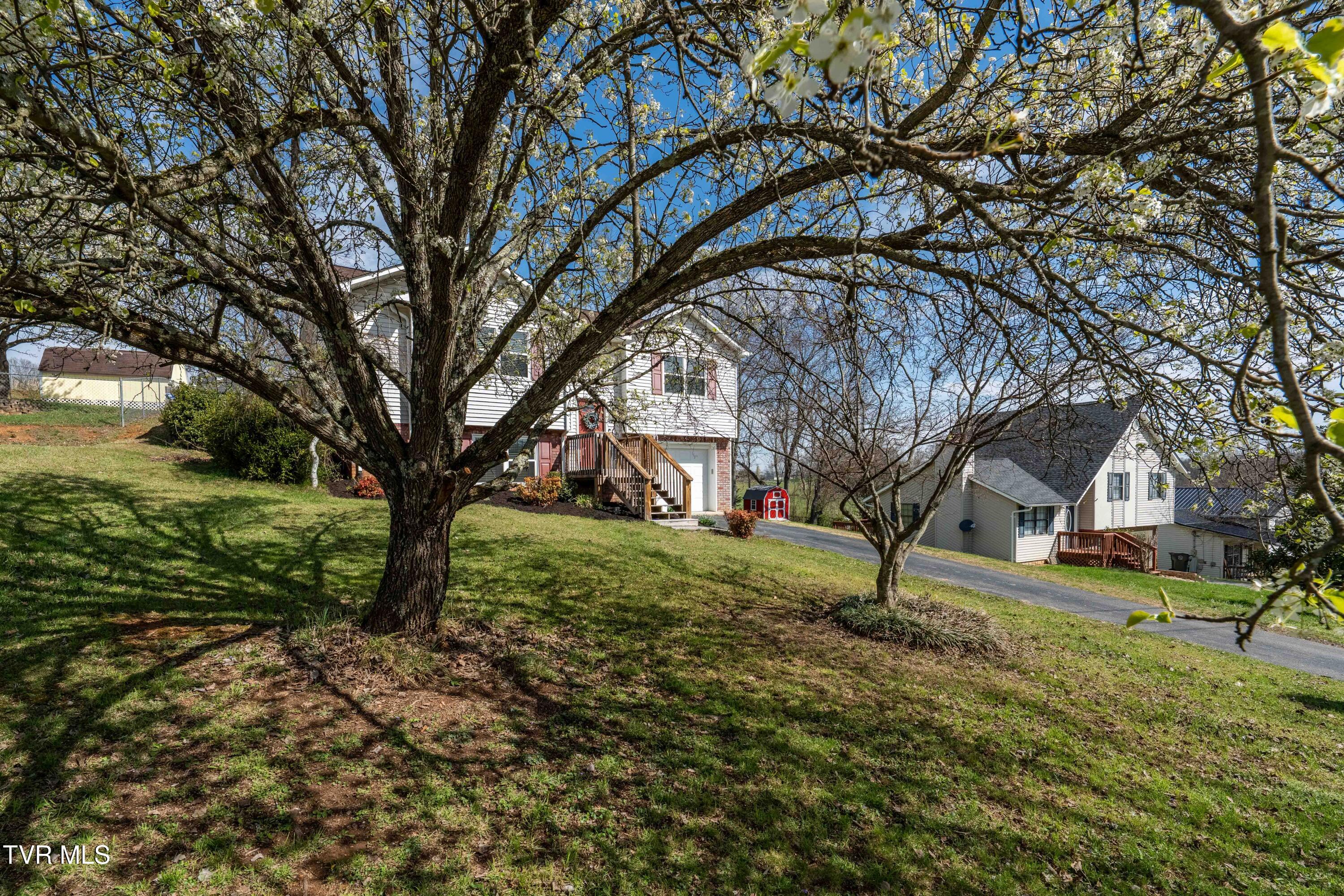 283 Ridgeview Drive Gray, TN 37615 - Photo 5 of 46 283 Ridgeview Dr (3 of 46)