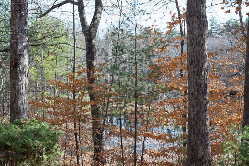 39 Glen Hill Road Dover, NH 03820 - Photo 21 of 28