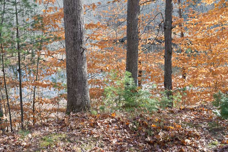39 Glen Hill Road Dover, NH 03820 - Photo 9 of 28