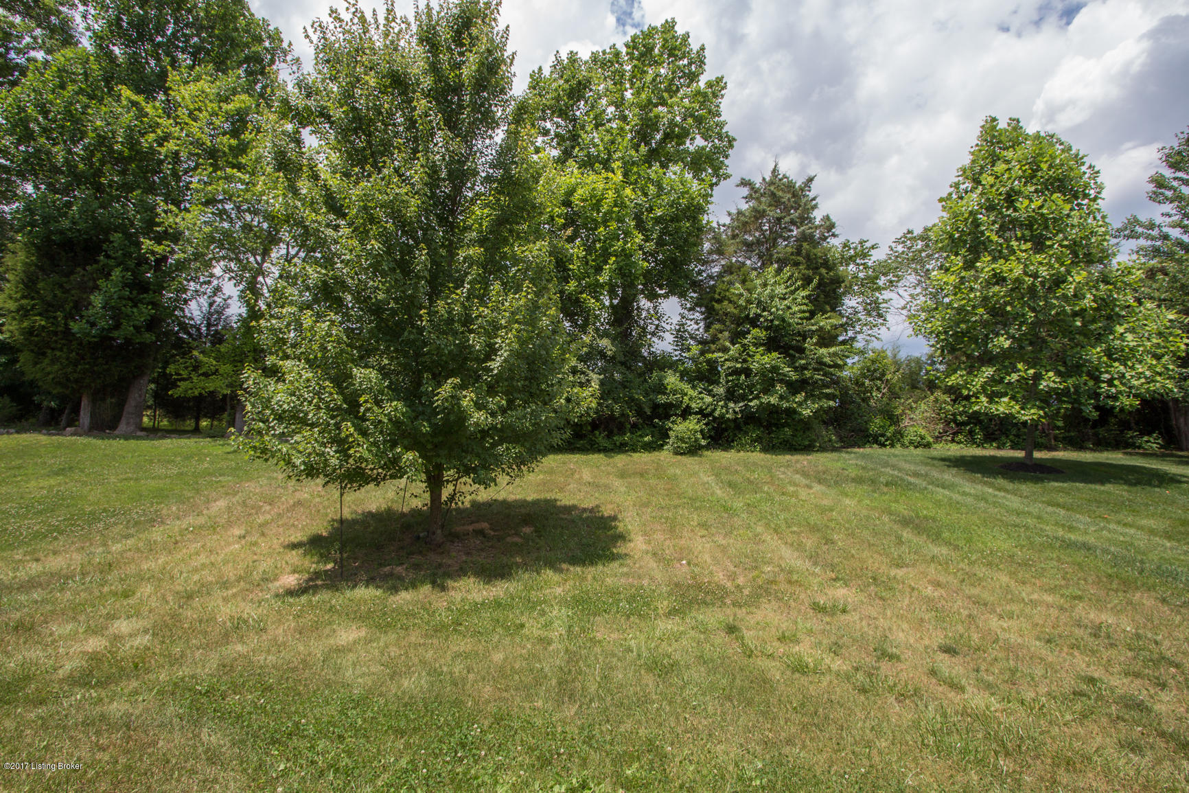 17433 Curry Branch Road Louisville, KY 40245 - Photo 10 of 44 17433 CB-10