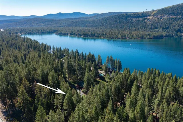 a view of a lake in a forest