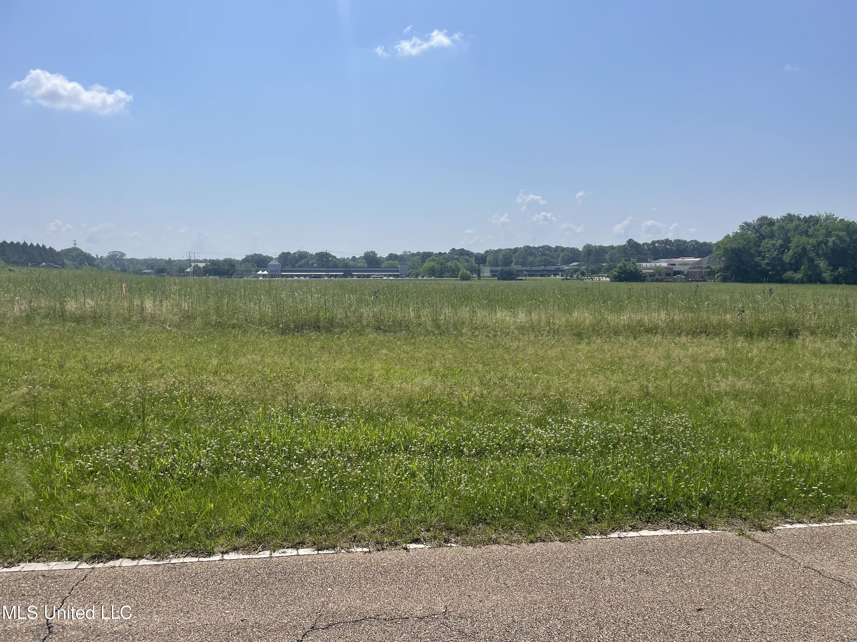 51 Highway Ridgeland Ms 39157 Ridgeland, MS 39157 - Photo 4 of 11 13 ac Harreld 6