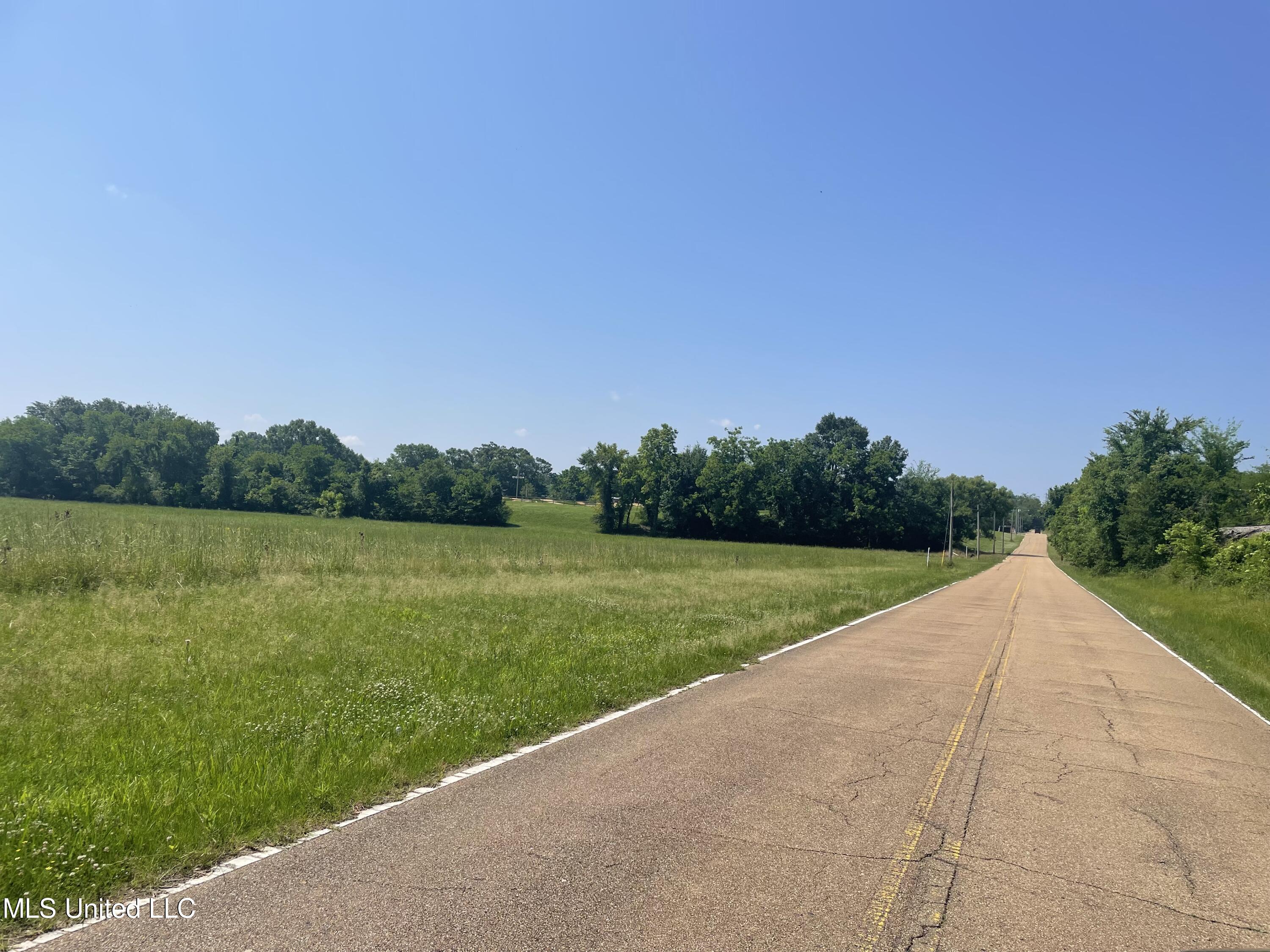 51 Highway Ridgeland Ms 39157 Ridgeland, MS 39157 - Photo 9 of 11 13 ac Harreld 5