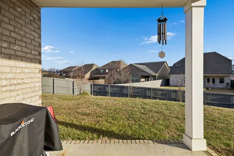 a view of a yard in front of a house with a large tree