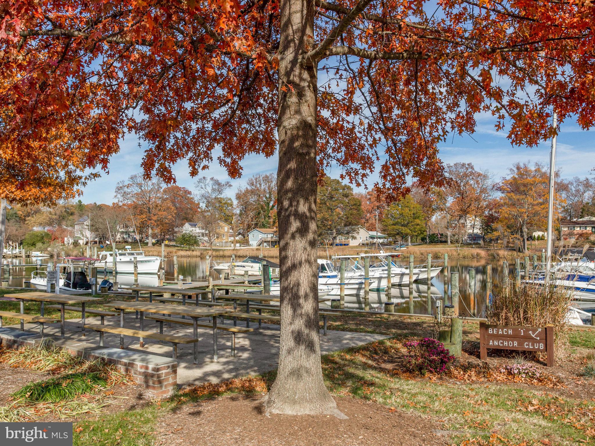 419 Cedar Grove Road Edgewater, MD 21037 - Photo 38 of 39
