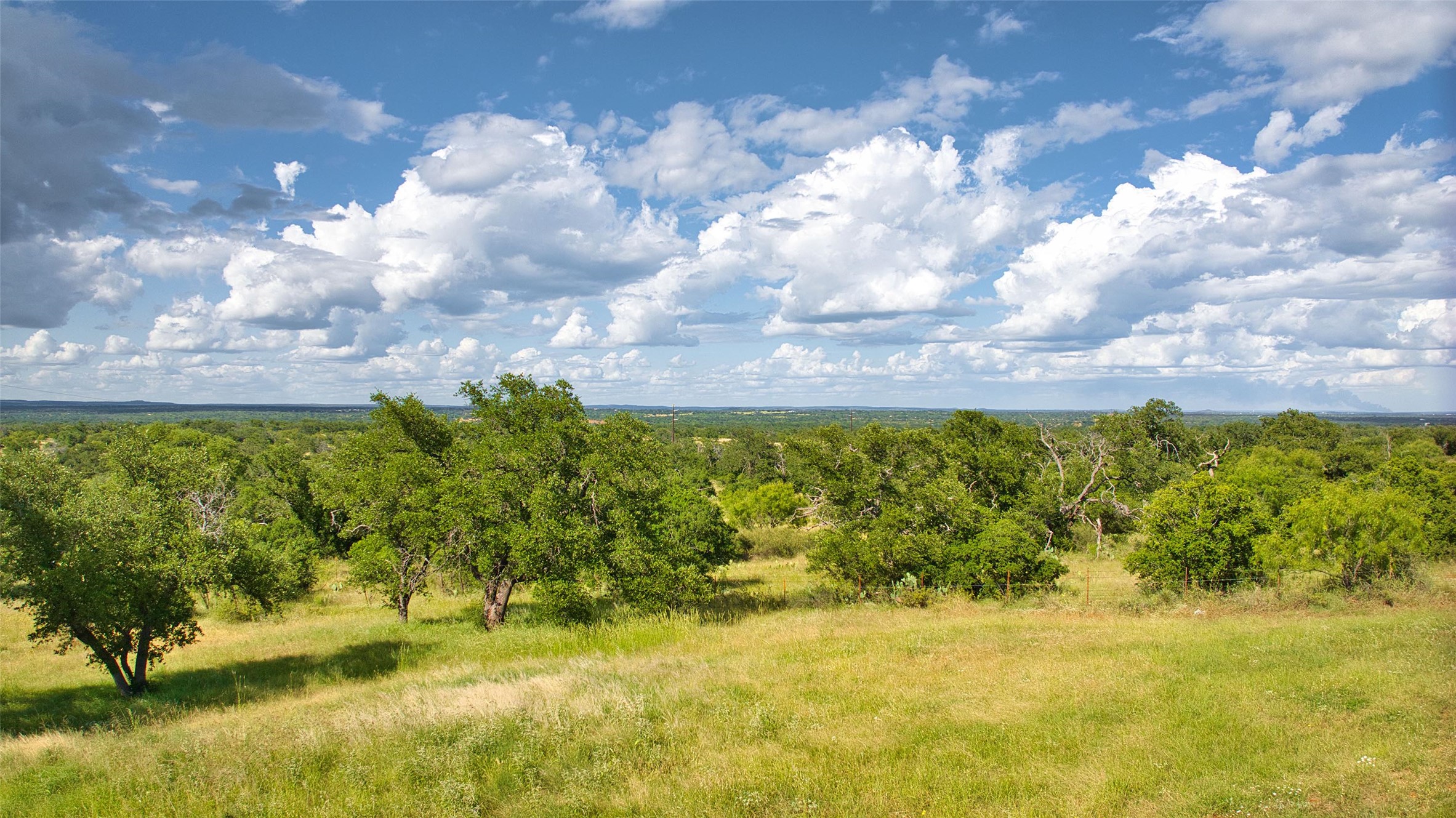 12119 Highway 29 Llano, TX 78643 - Photo 34 of 40 View of woods