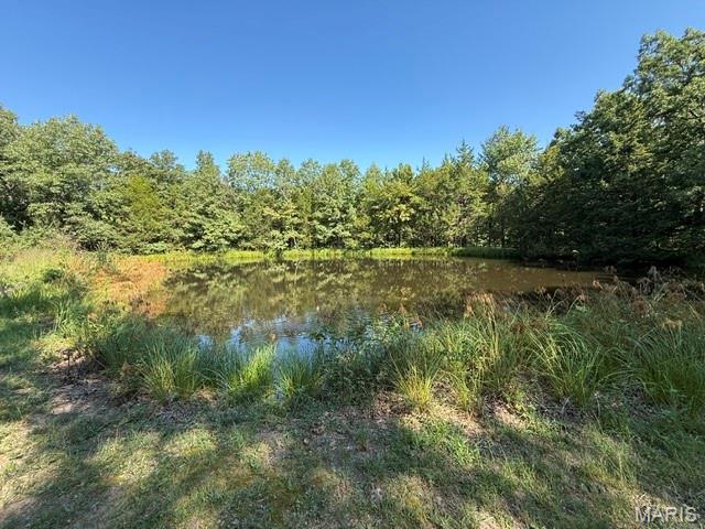 15 Windle Road Cuba, MO 65453 - Photo 12 of 22 Gallery Image 12