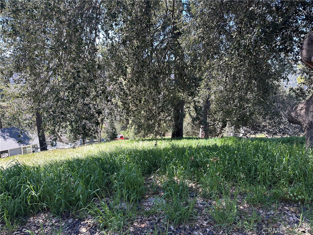 0 Elliot Road Cedarpines Park, CA 92322 - Photo 3 of 5 a big yard with lots of green space and deers