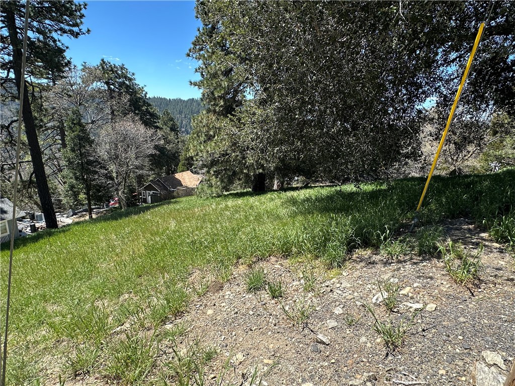 0 Elliot Road Cedarpines Park, CA 92322 - Photo 4 of 5 a view of a field with a tree