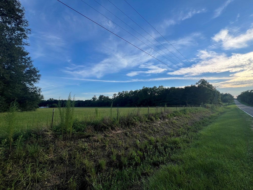 52044 B Benton Road Ochlocknee, GA 31773 - Photo 2 of 6 Gallery Image 2