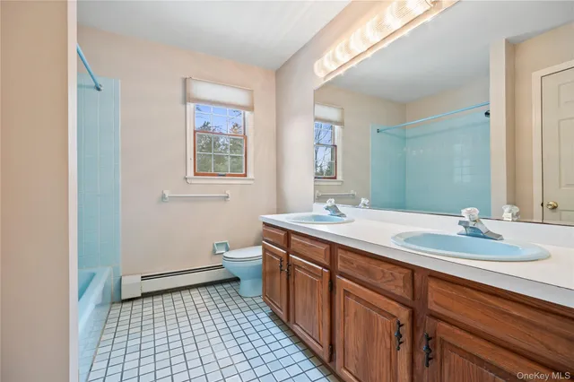 a bathroom with a sink a toilet a mirror and vanity