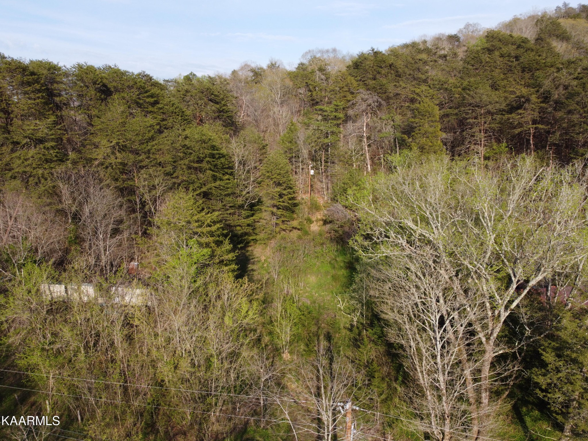 0 Lester Whitt Road Rutledge, TN 37861 - Photo 17 of 26 Gallery Image 17