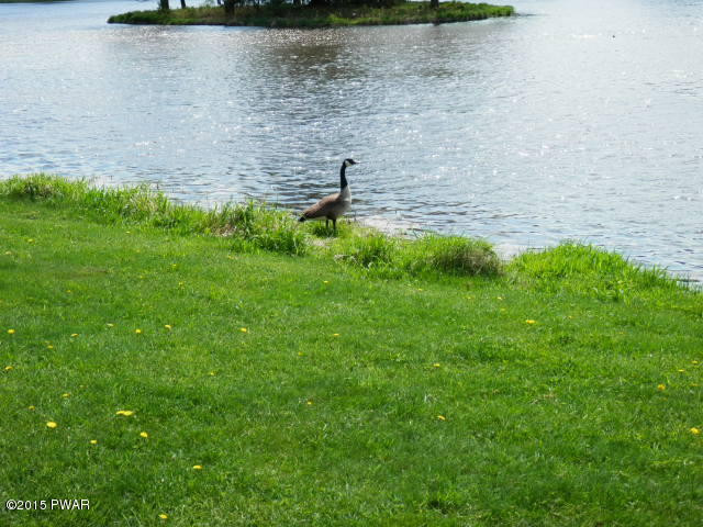 2331 Brookfield Road Lake Ariel, PA 18436 - Photo 21 of 67
