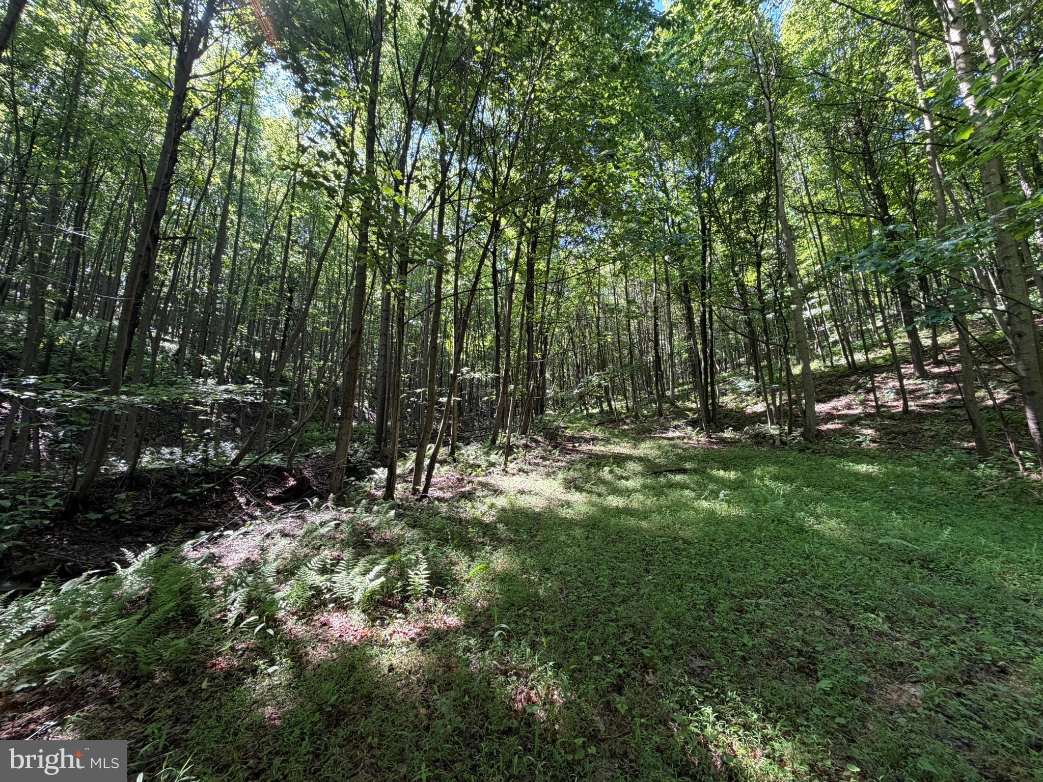 848 Sugar Camp Road Clearfield, PA 16830 - Photo 103 of 118