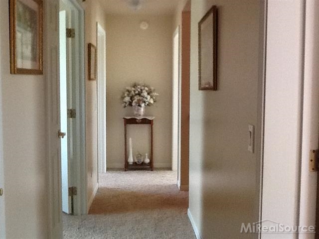 3145 East Burnside Road North Branch, MI 48461 - Photo 19 of 22 31208617-18.JPG