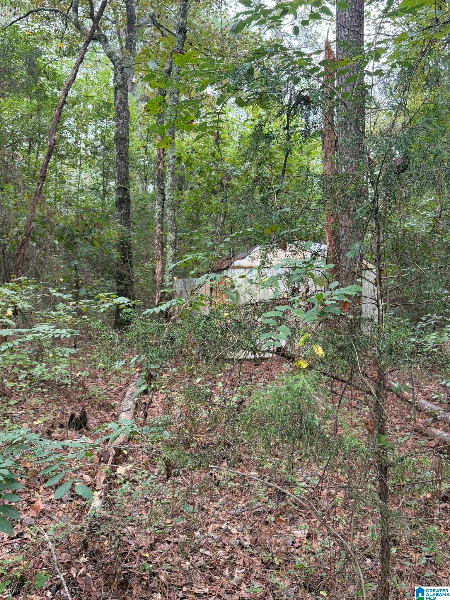 0 Dearmanville Road Anniston, AL 36207 - Photo 10 of 28 Gallery Image 10