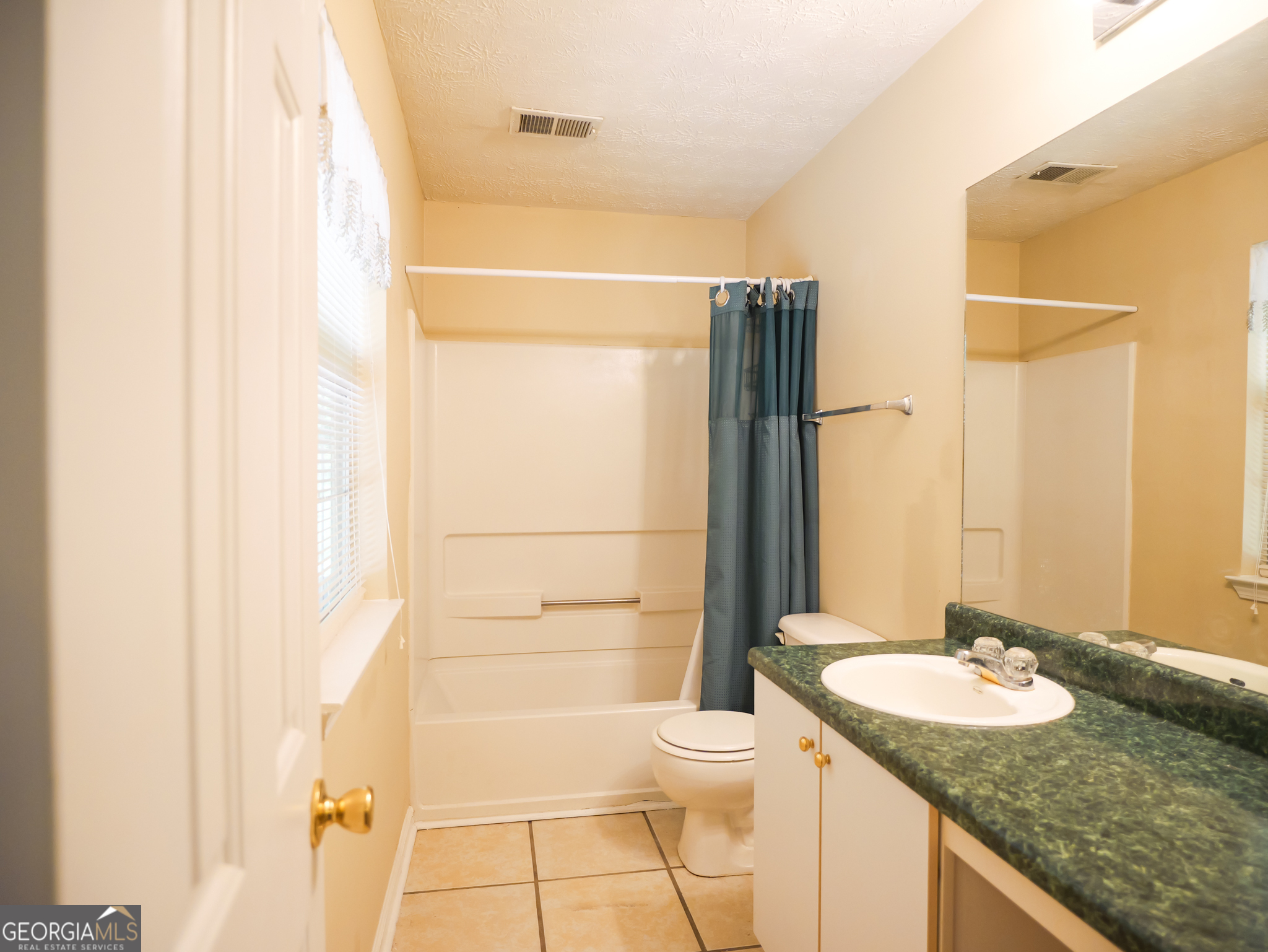 11036 Pebble Ridge Drive Hampton, GA 30228 - Photo 30 of 35 a bathroom with a granite countertop sink and a mirror