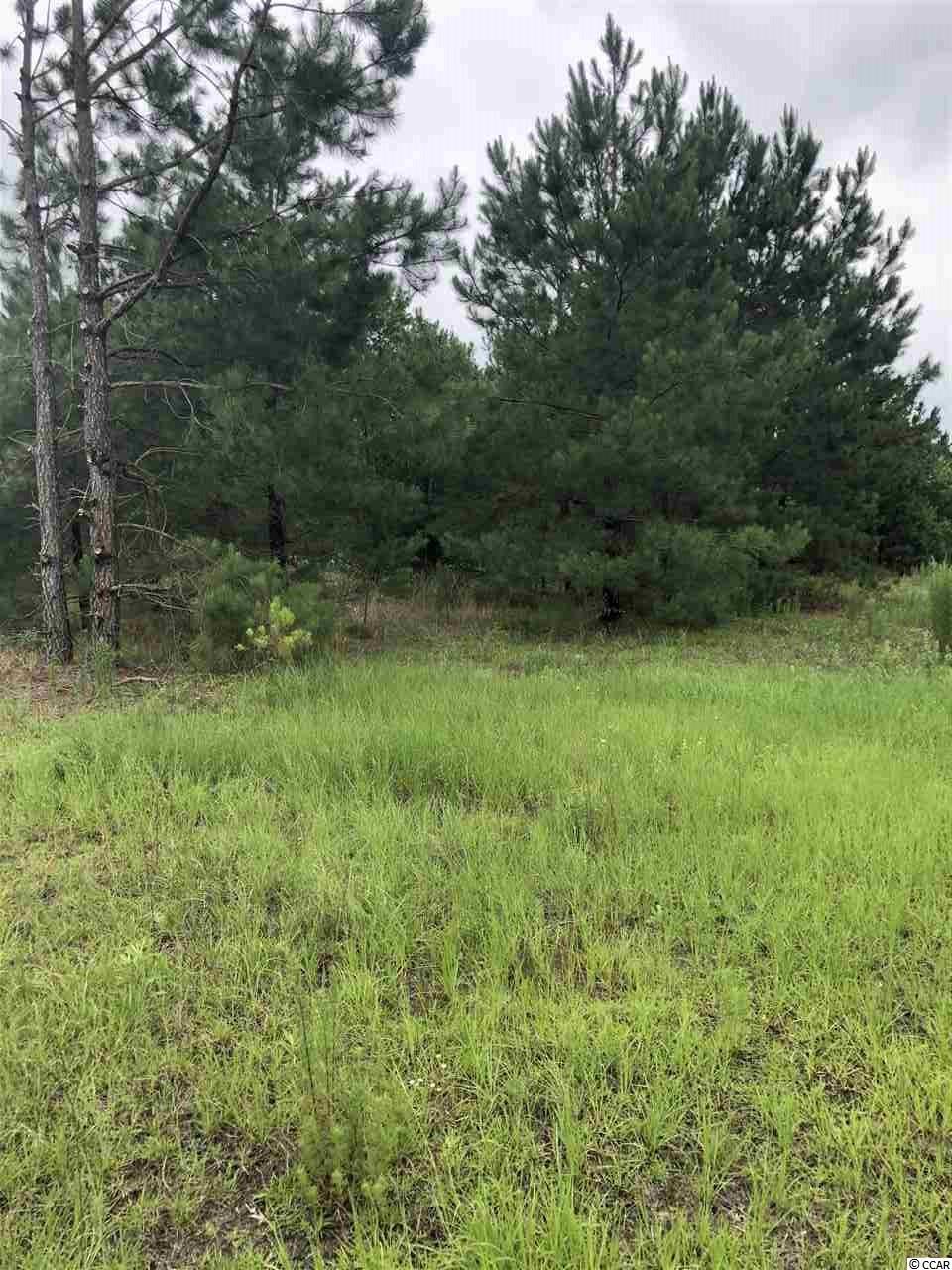 Tbd Whispering Hills Road Loris, SC 29569 - Photo 2 of 4 Gallery Image 2