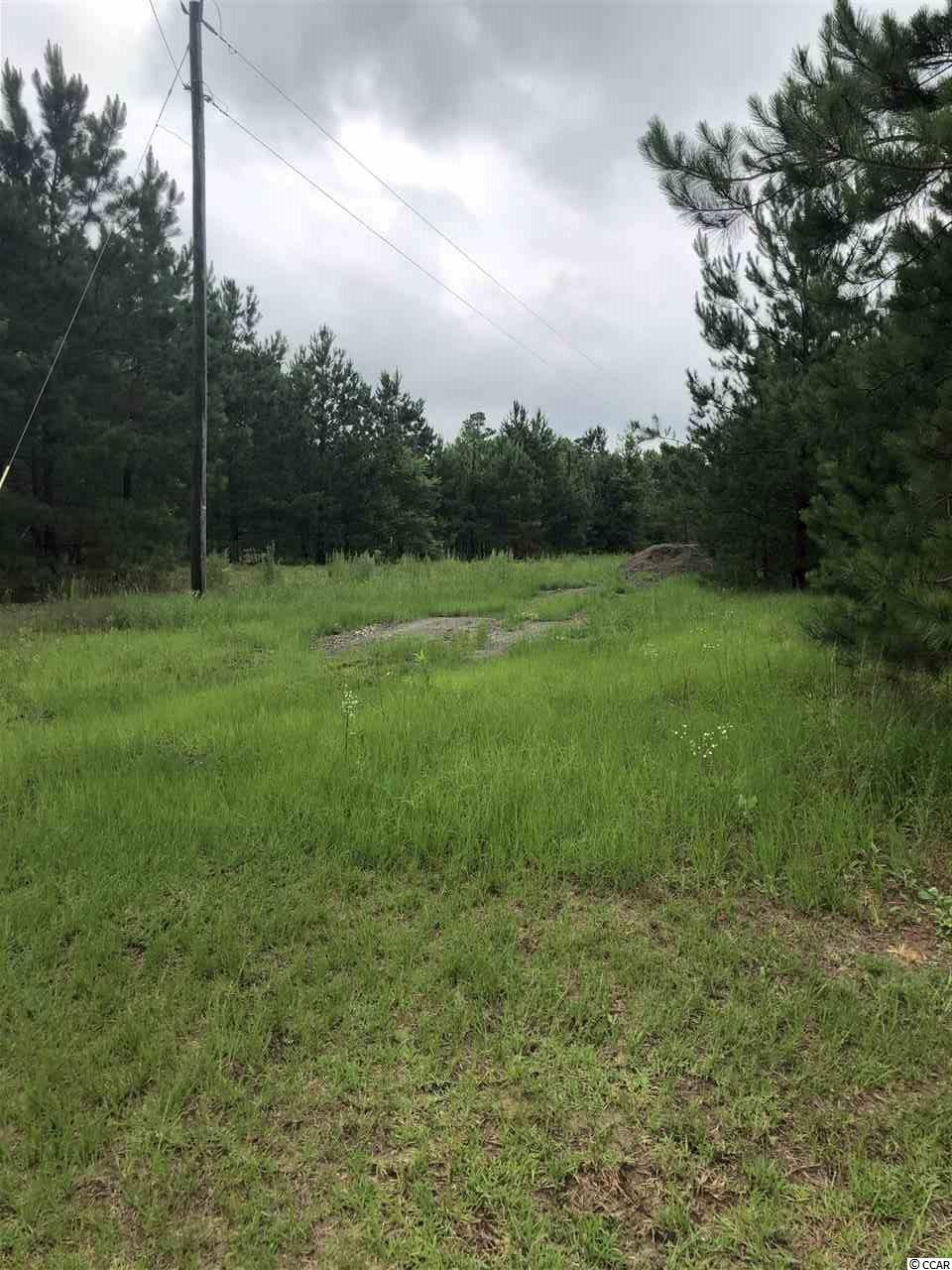 Tbd Whispering Hills Road Loris, SC 29569 - Photo 3 of 4 Gallery Image 3