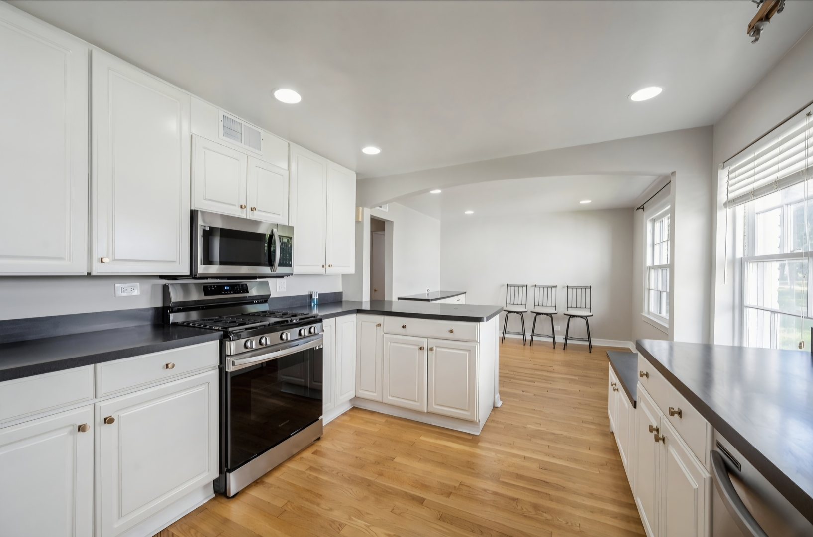 1578 McCraren Road Highland Park, IL 60035 - Photo 6 of 12