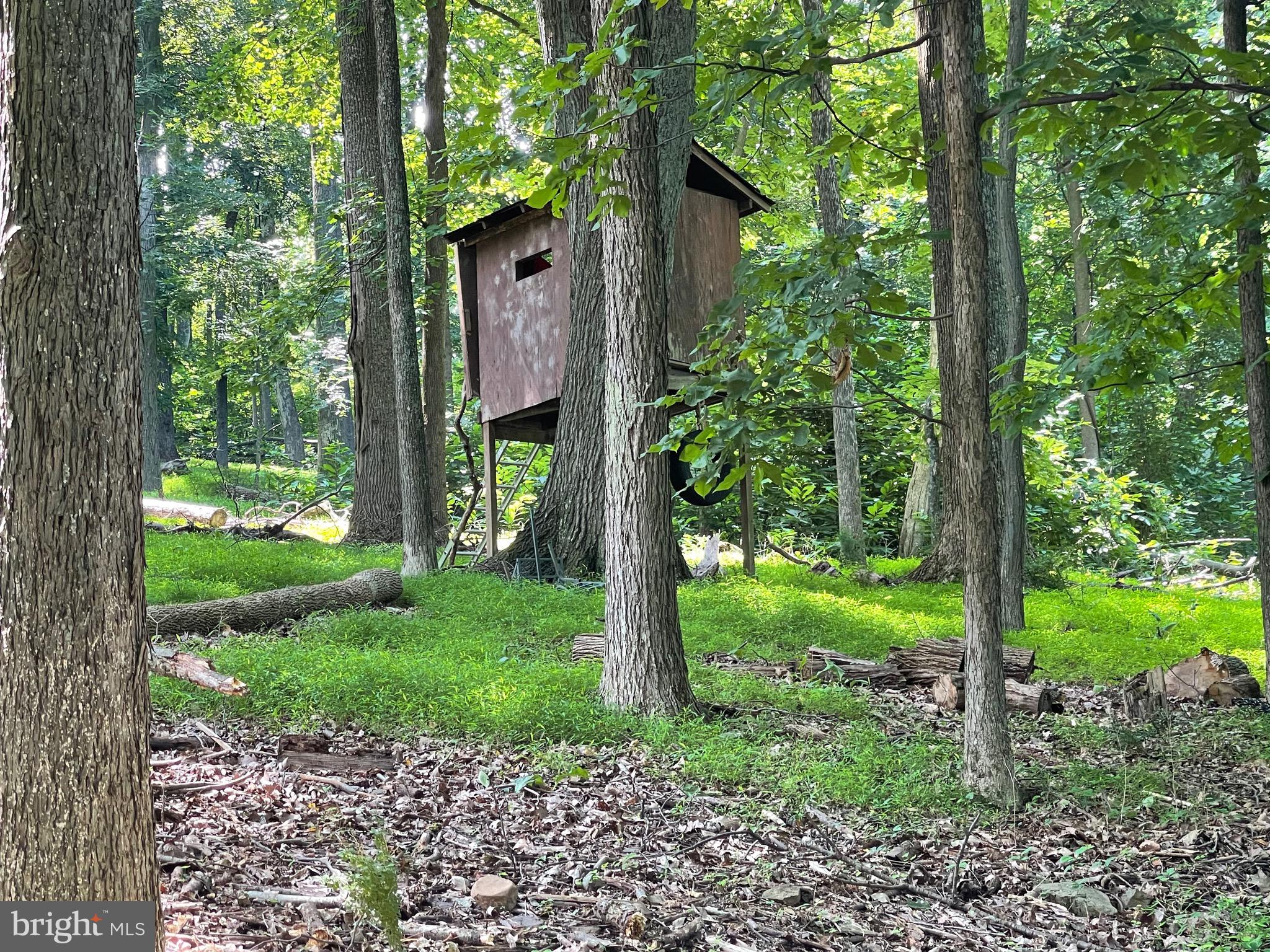 214 Bridle Path Road Front Royal, VA 22630 - Photo 13 of 15 Old tree house