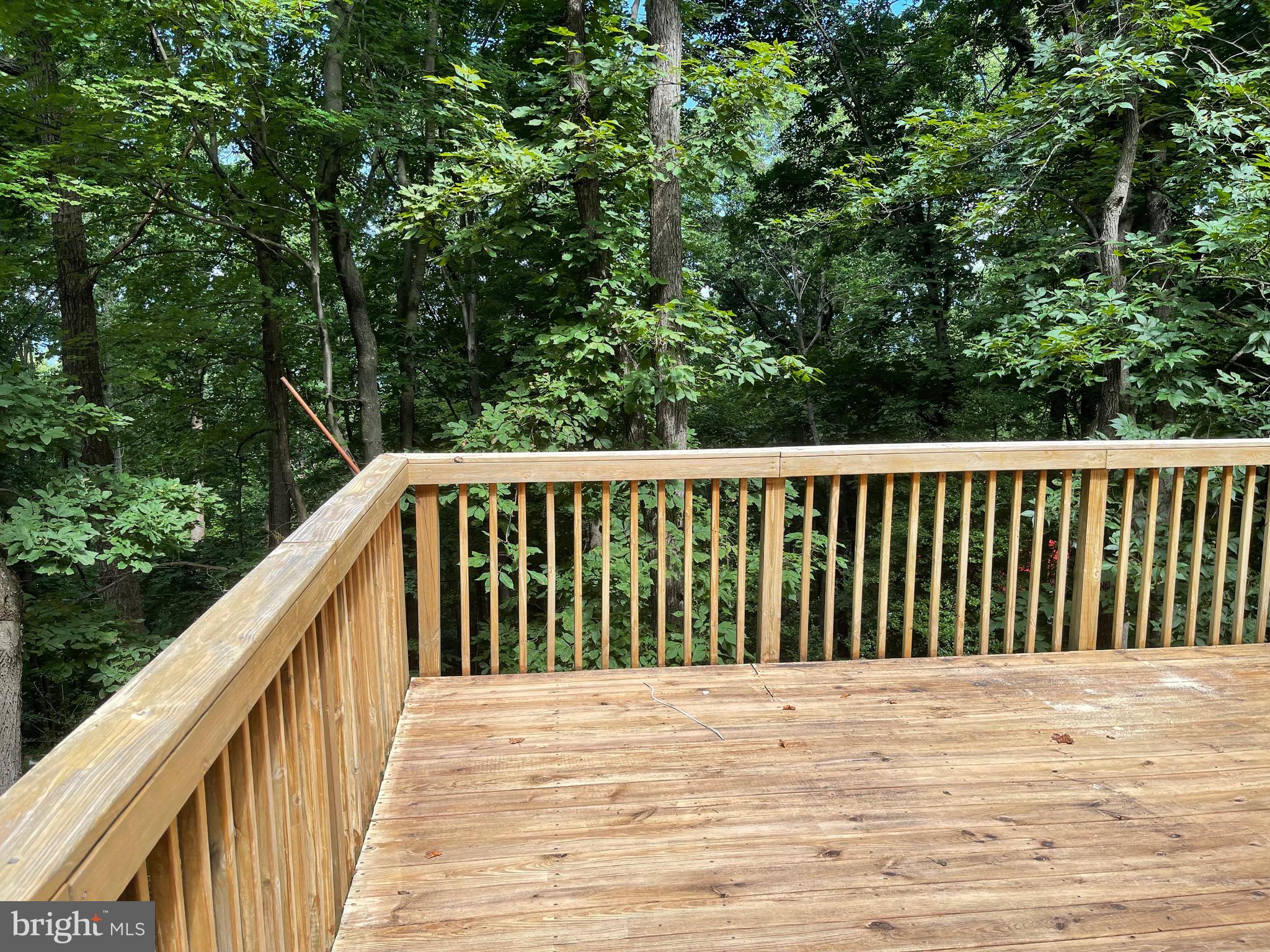 214 Bridle Path Road Front Royal, VA 22630 - Photo 3 of 15 View from Deck front of home off Sunroom