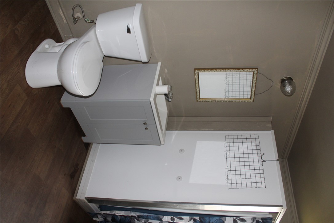 400 Canaan Road Marshall, AR 72650 - Photo 10 of 18 This bathroom features a white toilet, a light gray vanity with a white sink, and dark wood-style flooring