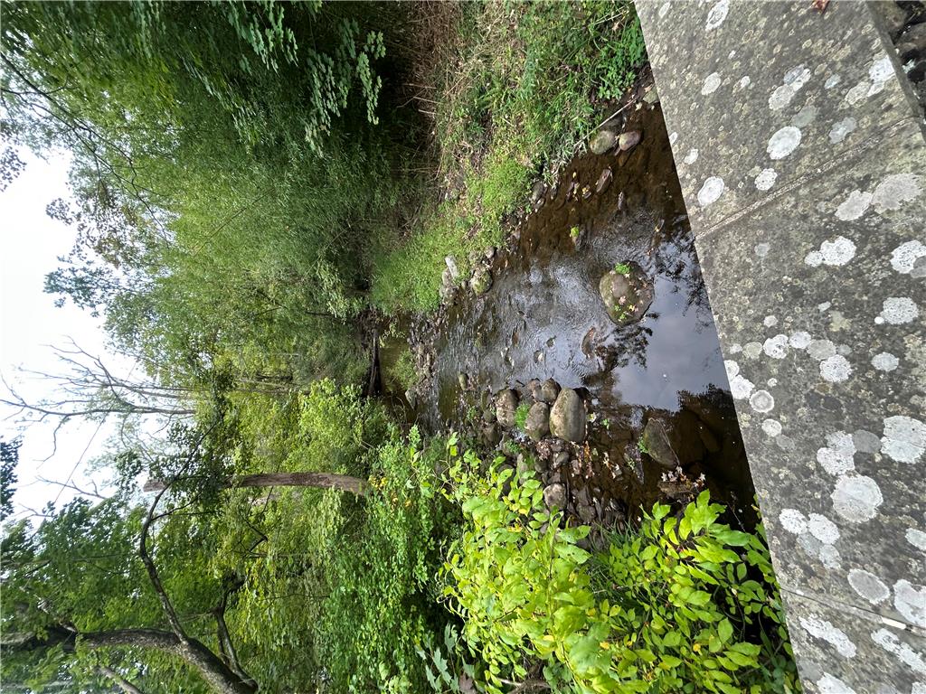 7 Allegheny Road Mount Bethel, PA 18343 - Photo 68 of 71 A tranquil natural stream flows gently through a dense canopy of mature trees.