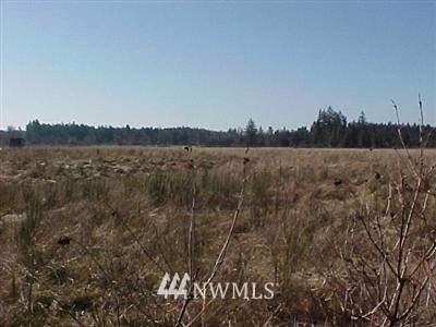 2 Mary M Knight Road Elma, WA 98541 - Photo 1 of 1 Gallery Image 1
