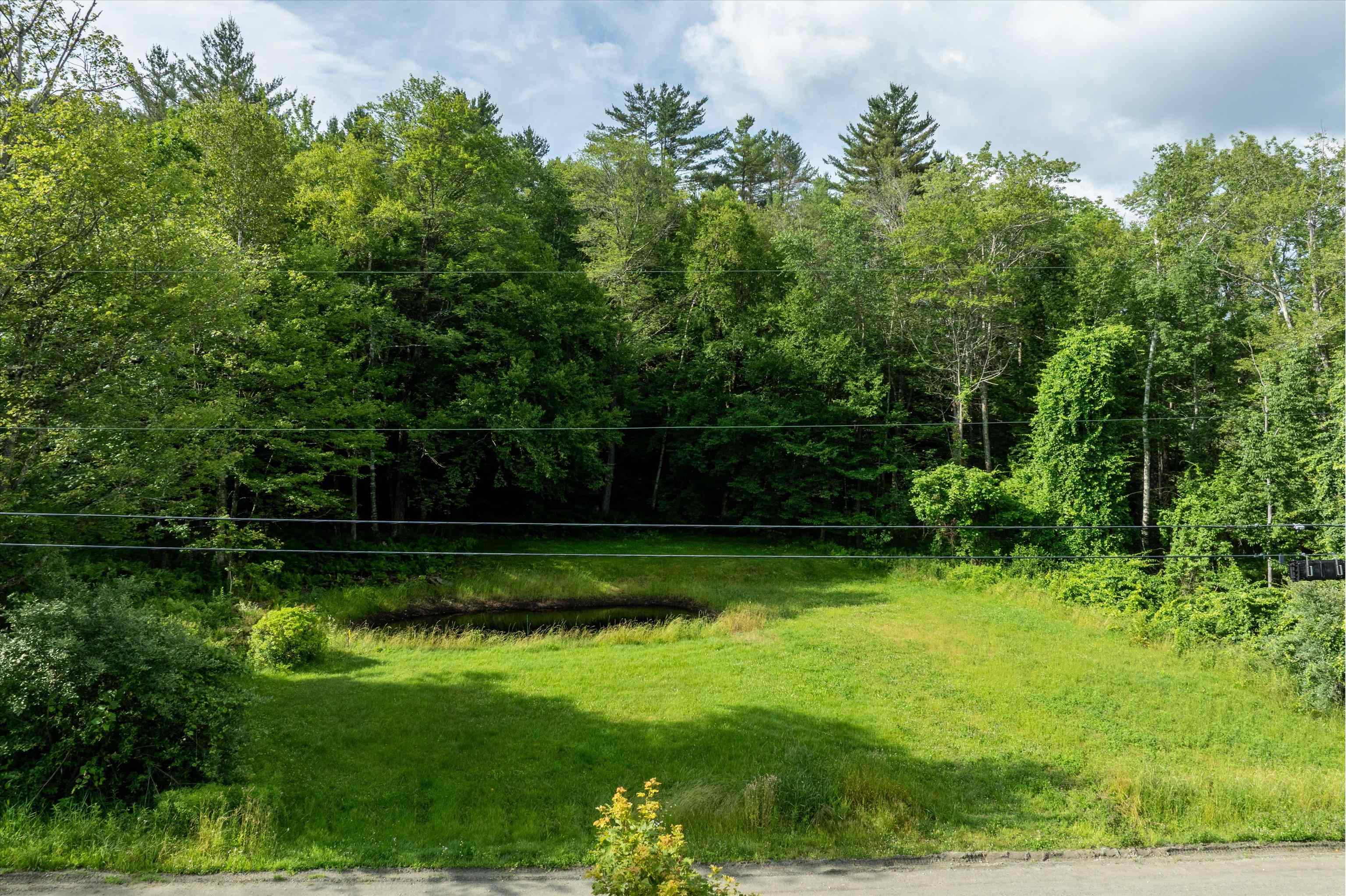 276 Dutton District Road Springfield, VT 05156 - Photo 3 of 7