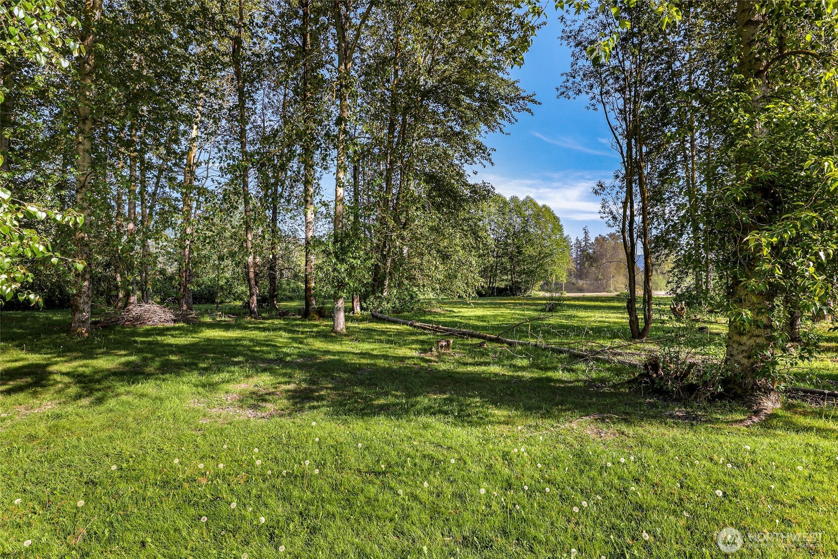 3395 Mack Road Everson, WA 98247 - Photo 4 of 39