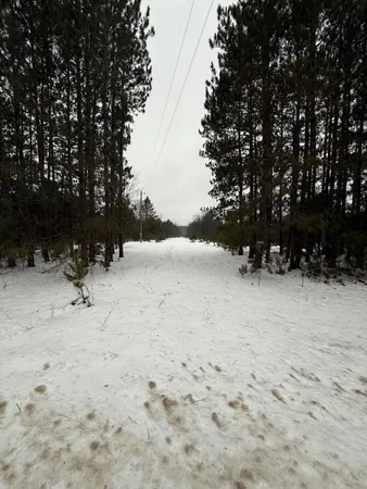 $65,000 | 14124 Healy Lake Road, Bear Lake, MI 49614