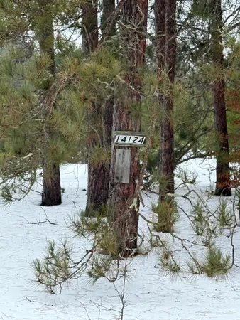 $65,000 | 14124 Healy Lake Road, Bear Lake, MI 49614