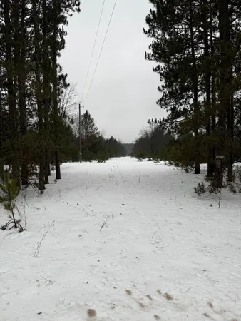 $65,000 | 14124 Healy Lake Road, Bear Lake, MI 49614