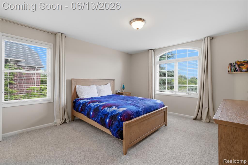 41920 Wolfe Pass Novi, MI 48377 - Photo 54 of 77
