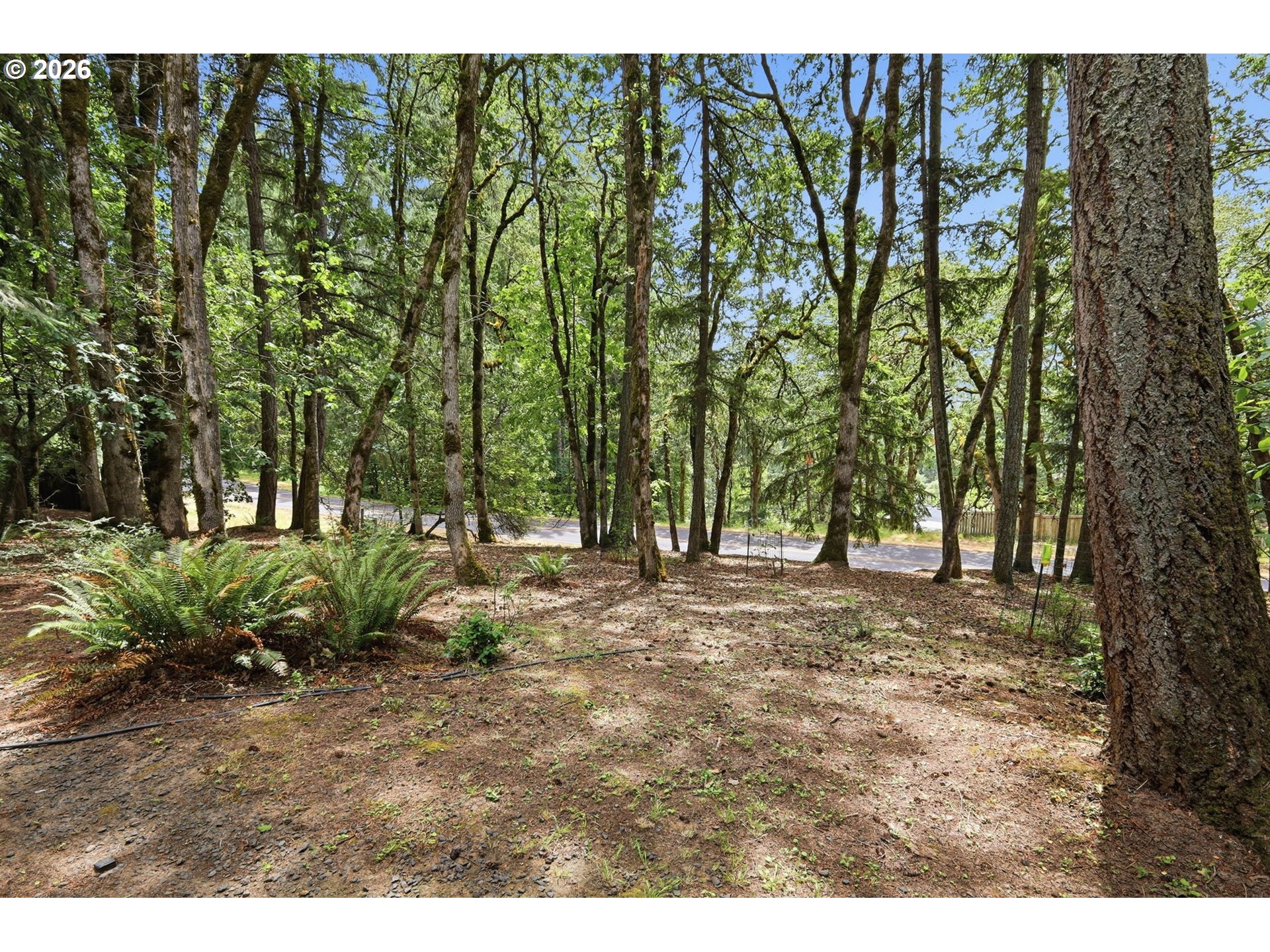 4650 Old Dillard Road Eugene, OR 97405 - Photo 47 of 48