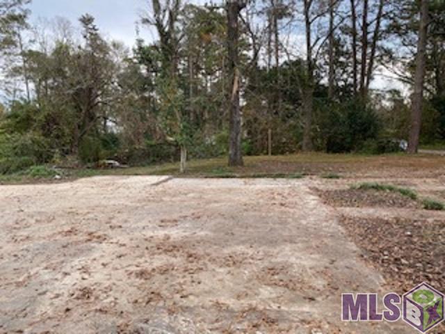 7989 Miley Road Denham Springs, LA 70726 - Photo 8 of 11 Gallery Image 8