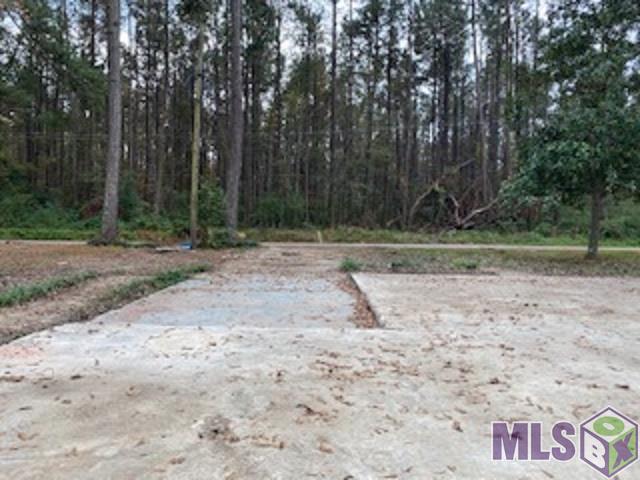 7989 Miley Road Denham Springs, LA 70726 - Photo 9 of 11 Gallery Image 9