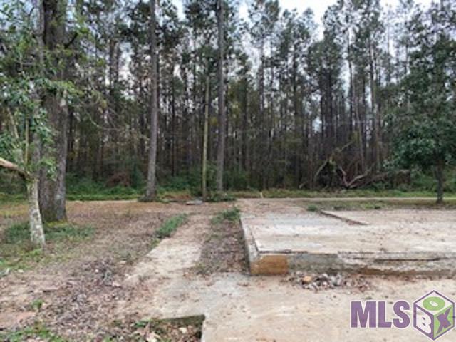 7989 Miley Road Denham Springs, LA 70726 - Photo 10 of 11 Gallery Image 10