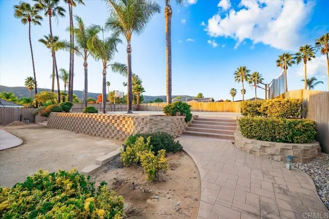 a view of a street with a palm tree