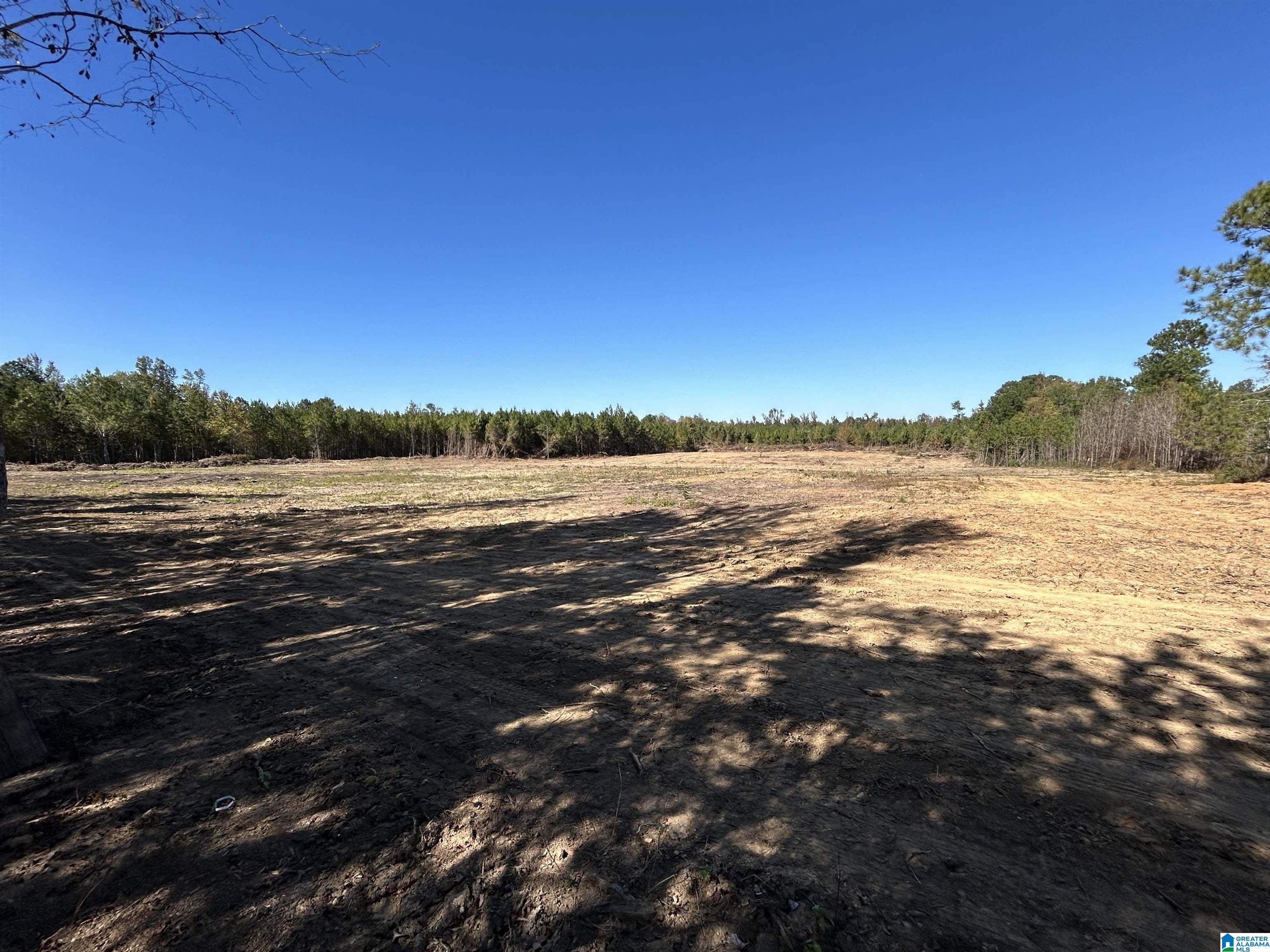 26 Dover Road Ohatchee, AL 36271 - Photo 5 of 7 Gallery Image 5