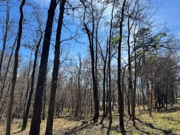 $60,000 | 319 Frankston Tx 75763, Frankston, TX 75763