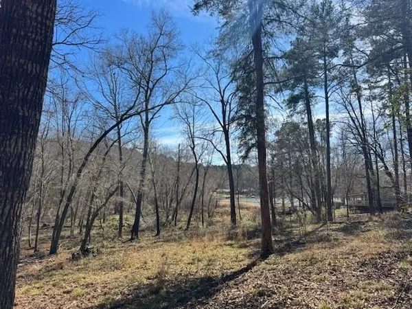 $60,000 | 319 Frankston Tx 75763, Frankston, TX 75763