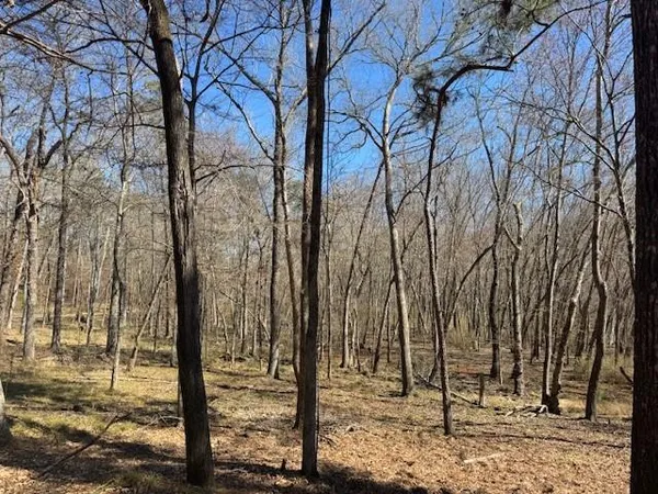 $60,000 | 319 Frankston Tx 75763, Frankston, TX 75763