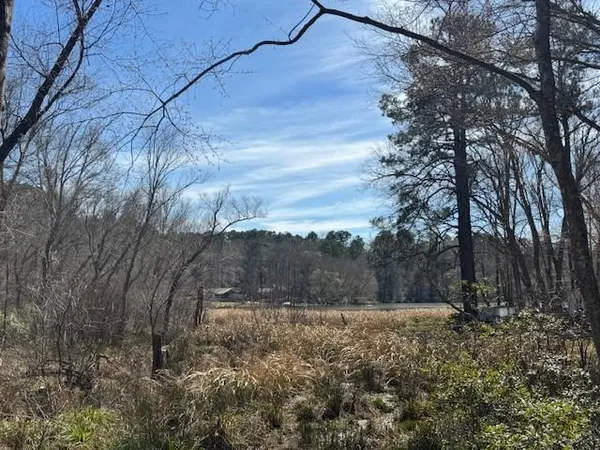 $60,000 | 319 Frankston Tx 75763, Frankston, TX 75763