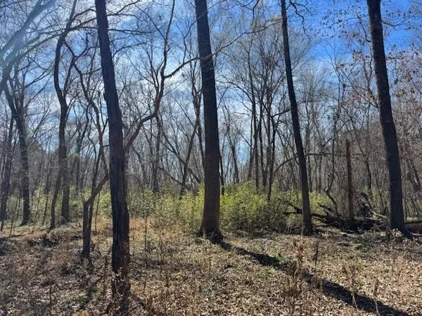 $60,000 | 319 Frankston Tx 75763, Frankston, TX 75763